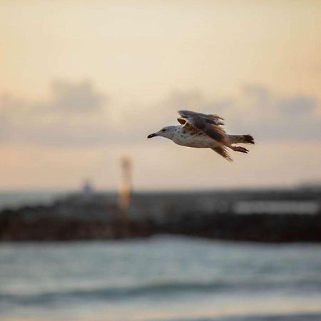 ibis budget Ciboure St-Jean-Luz Buitenkant foto