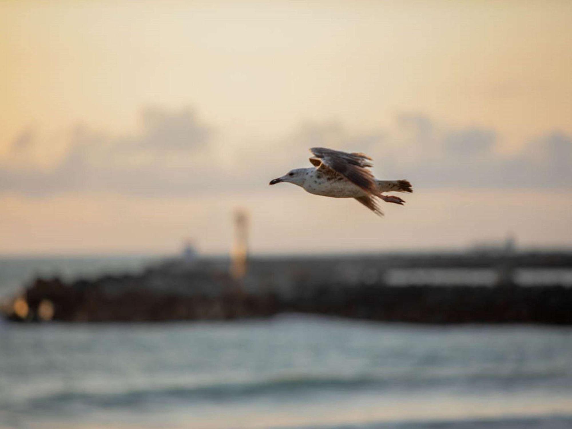 ibis budget Ciboure St-Jean-Luz Buitenkant foto